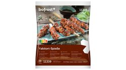 Asia - Brochetas Yakitori