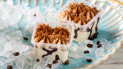 Promoci&oacute;n 4 plus 1 - Cremosini Tiramis&uacute;