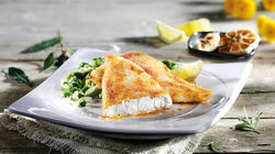 Preparado - Fogonero enharinado