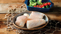 Natural - Filetes de Fogonero, al natural