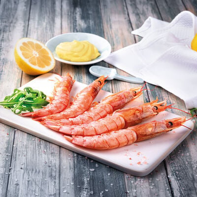 Marisco y Cefal&oacute;podo - Gamba llagostinera