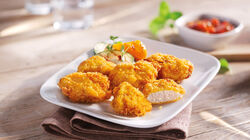  - Nuggets de Pollastre