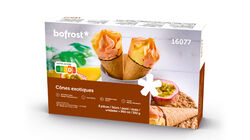 Conos y S&aacute;ndwiches - Conos Mango-Maracuy&aacute;