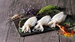 Marisco y Cefal&oacute;podo - S&iacute;pia neta