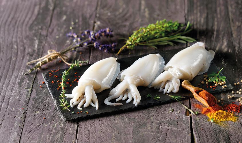 Marisco y Cefal&oacute;podo - S&iacute;pia neta