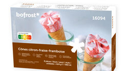 Conos y S&aacute;ndwiches - Cornets llimona & fruites vermelles