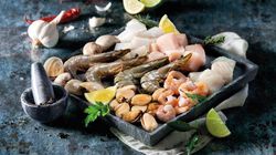 Marisco y Cefal&oacute;podo - Preparado de marisco