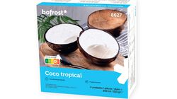 Fruta - Coco tropical