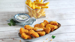 bofrost* free - Nuggets de pollastre (sense gluten, sense lactosa)