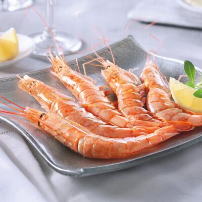 Marisco y Cefal&oacute;podo - Gamb&oacute;n