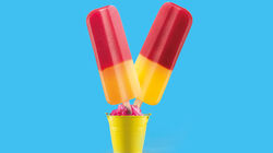 Promoci&oacute;n 4 plus 1 - Tropical mango-taronja i fruites dels bosc