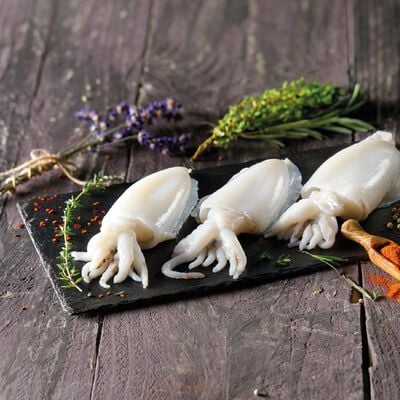 Marisco y Cefal&oacute;podo - Sepia limpia