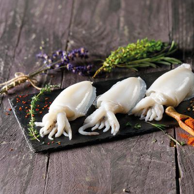 Marisco y Cefalópodo - Sepia limpia