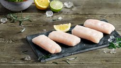 Merluza - Cors de llu&ccedil;