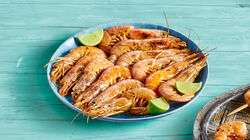 Marisco y Cefal&oacute;podo - Gamb&oacute;n