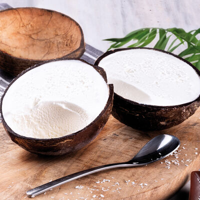 Fruta - Coco tropical