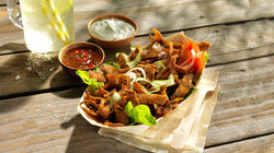  - Kebab de gall dindi i pollastre