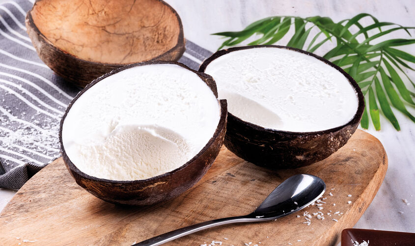 Fruta - Coco tropical