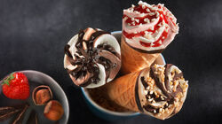 Conos y S&aacute;ndwiches - Cornets Mix