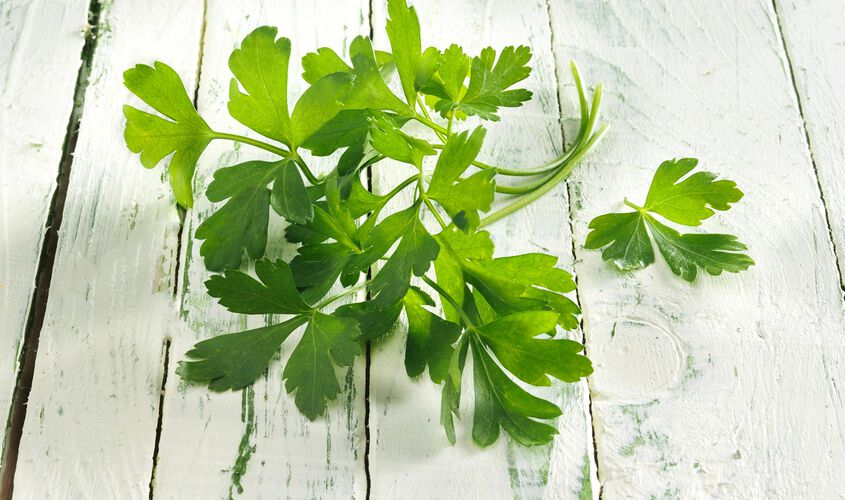 Natural - Perejil