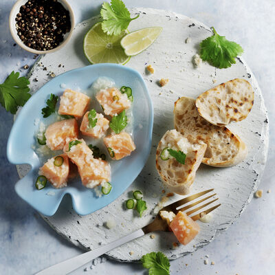 Ceviche de salmón en tostas crujientes