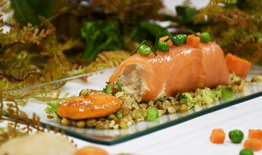 Canel&oacute; de salm&oacute; amb crema de vieires 