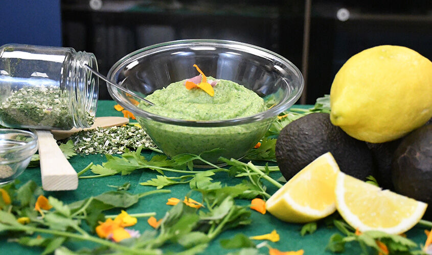 Patates allioli amb guacamole de bròcoli i alfàbrega
