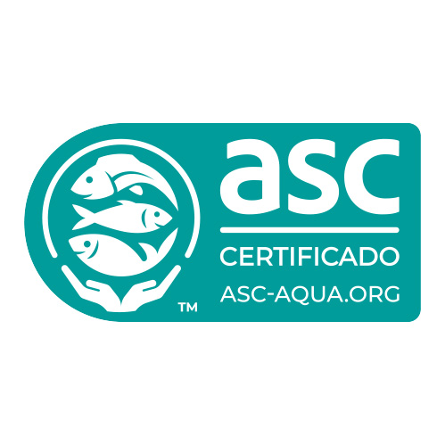 certificazionearticolo2_181.jpg