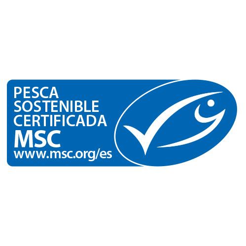 certificazionearticolo2_81.jpg