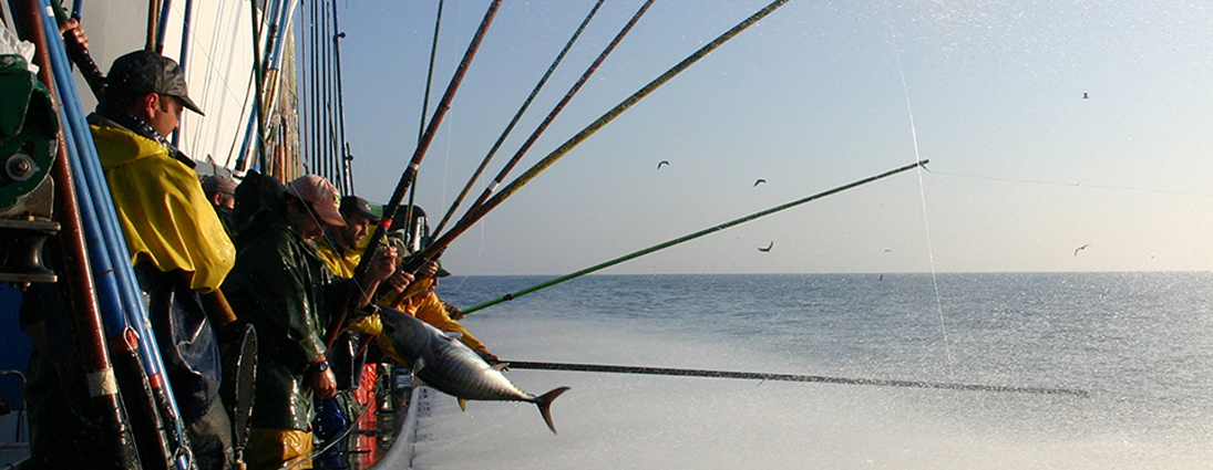 Coneixes l'origen dels nostres productes? T'ho expliquem