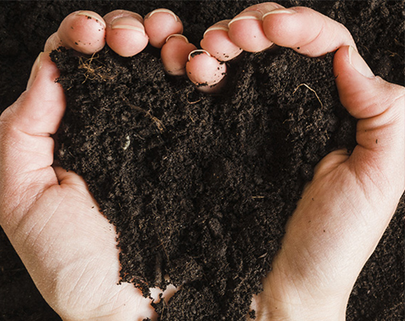 Celebra el Dia de la Terra millorant la teva alimentació