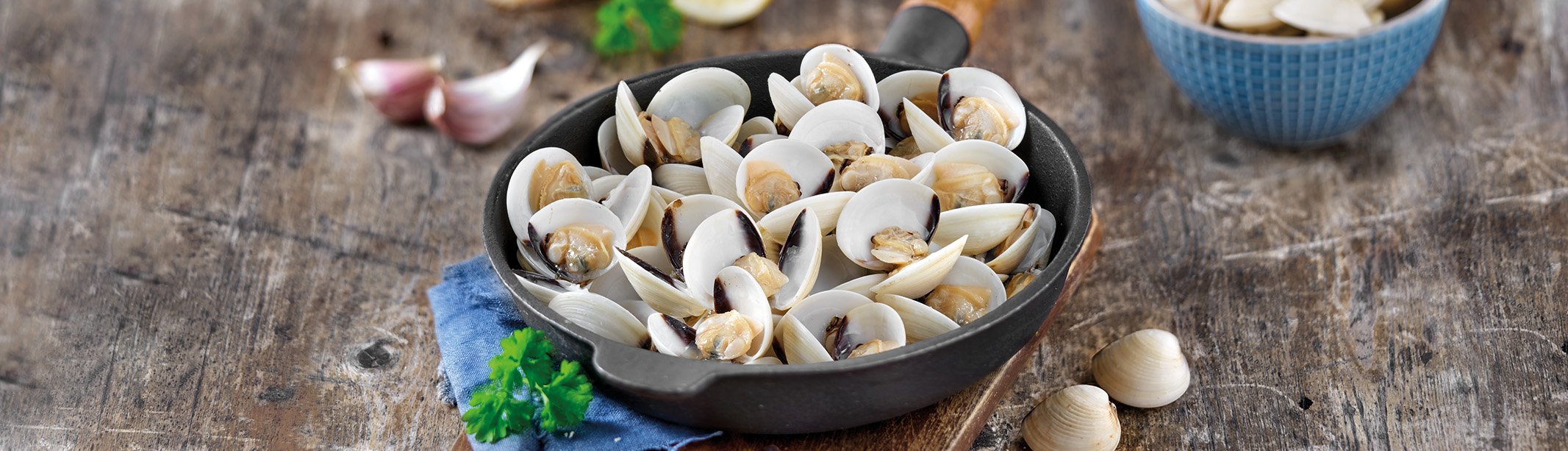 Conoce las propiedades de las almejas