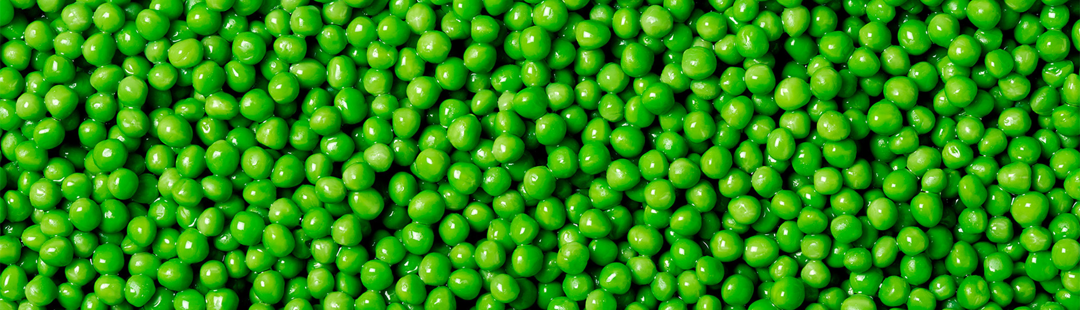 Los guisantes y sus propiedades. ¡Añade verde a tu dieta!