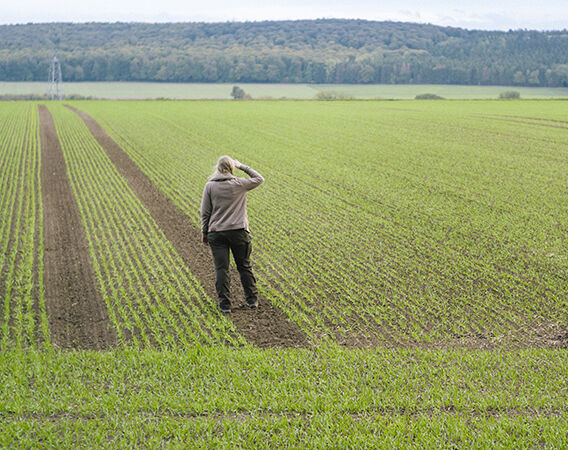 ¿Tu alimentación es sostenible? Cuídate y cuida tu entorno