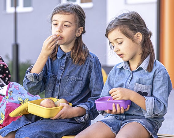 Vuelta al cole, vuelta a la rutina. ¿Qué comemos?