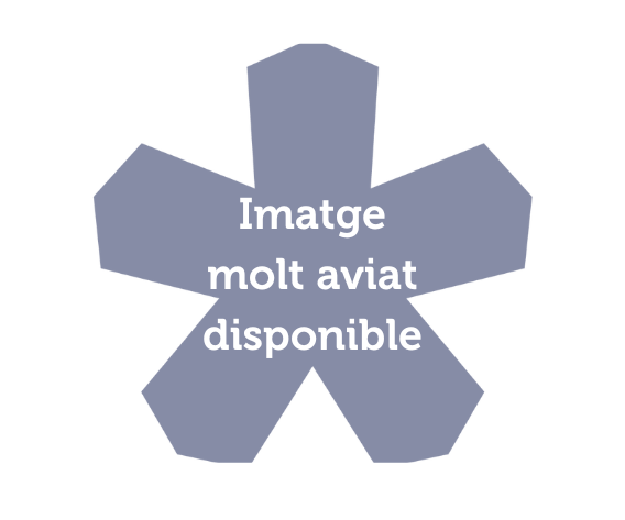 Com afrontar la volta a la rutina de manera saludable