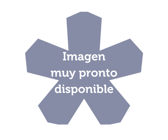 Men&uacute; Nochevieja